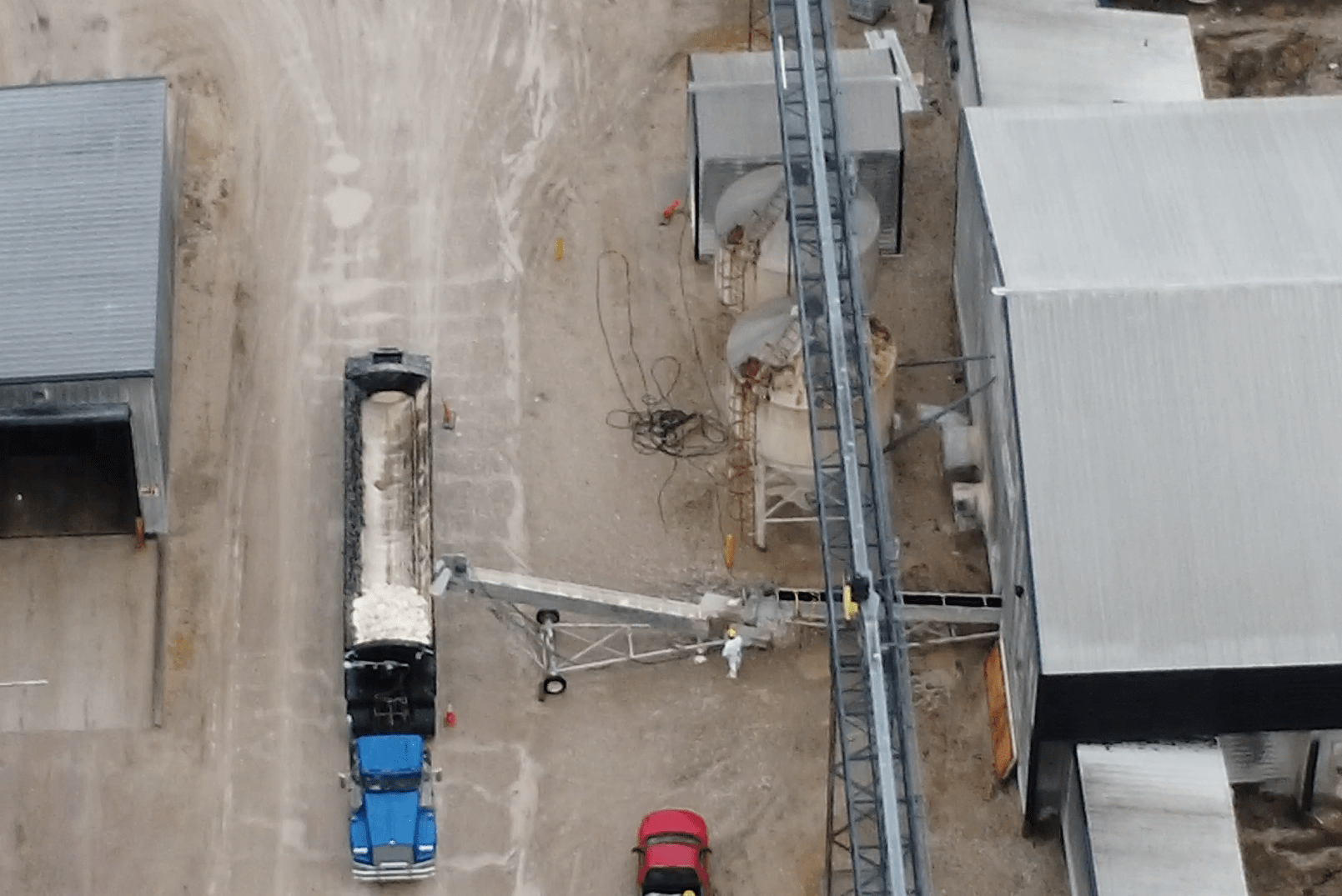 Dead birds being sent through a chute into a large truck